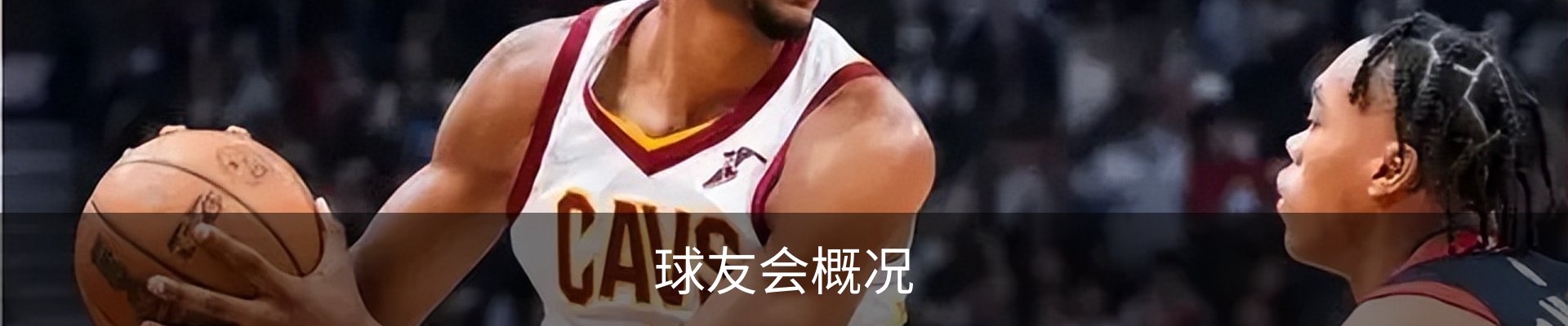 球友会概况